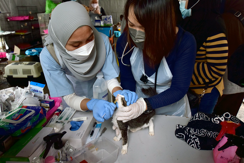 Photo by Saleha Haron